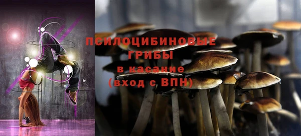 apvp Верхний Тагил