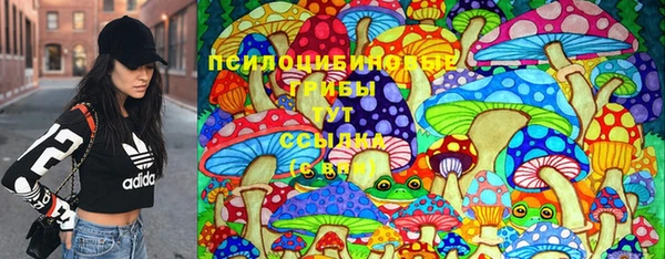 mdpv Верея