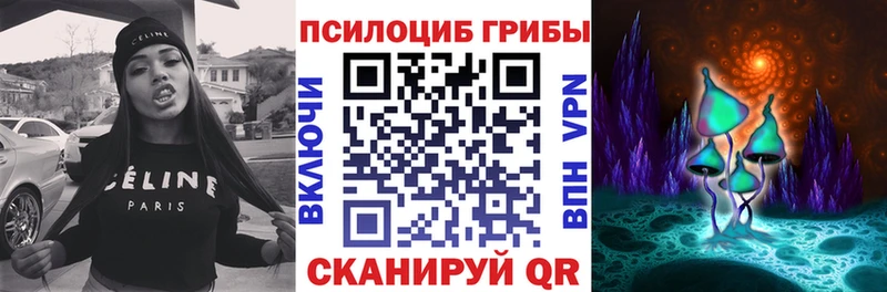 omg вход  Тольятти  Псилоцибиновые грибы Magic Shrooms  где можно купить  